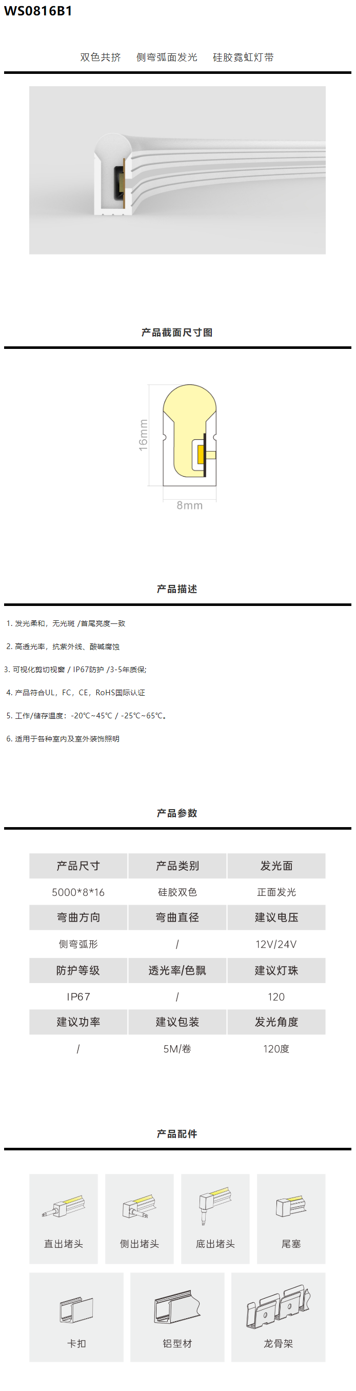 霓虹共挤-WS0816B1.png