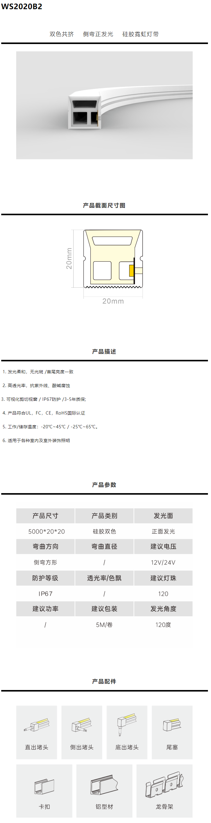 霓虹共挤-WS2020B2.png