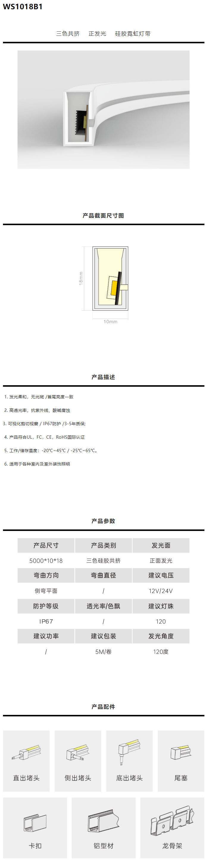 霓虹共挤-WS1018B1.png